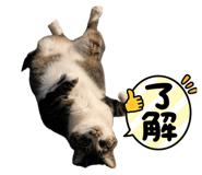 769650067