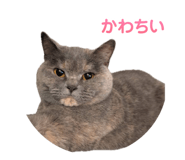769650068