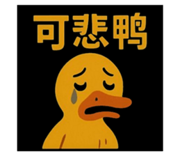 769659630