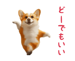 769664132
