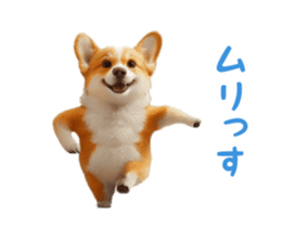 769664134