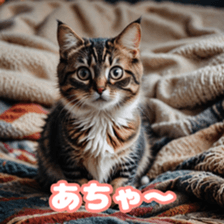 769673847