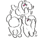 769682539