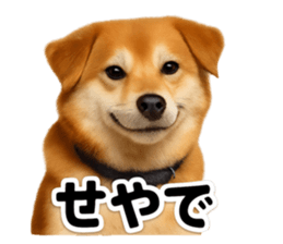 769683032