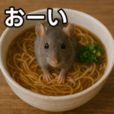 769687700