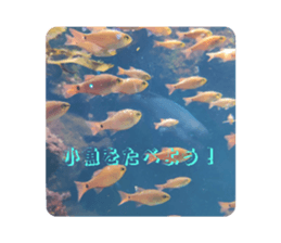 769694842