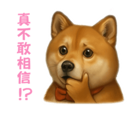 769702753