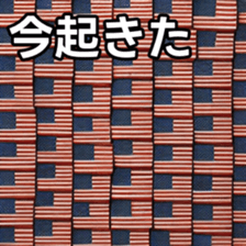 769704381