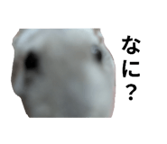 769706017