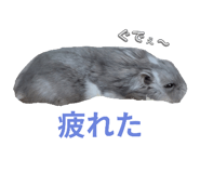 769706018