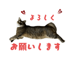 769706125