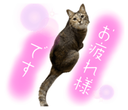 769706135