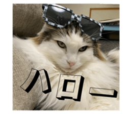 769706620