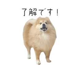 769709730