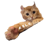 769710789