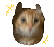 769710799