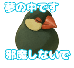 769727441