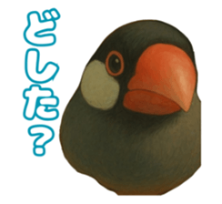 769727444