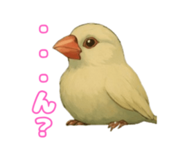 769727449