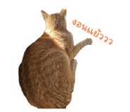 769732100