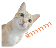 769732102