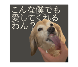 769738632
