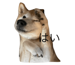 769742621