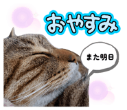 769753168