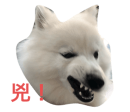 769756467