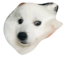 769756469