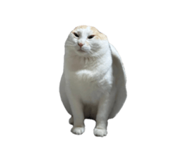 769762435