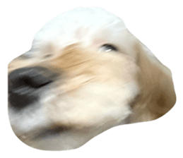 769763616