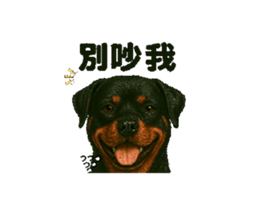 769769634
