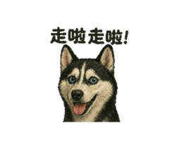 769769635
