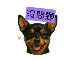 769769637