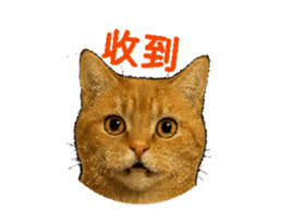 769769649