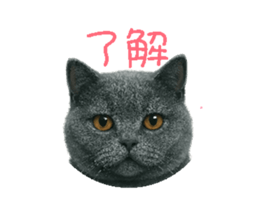 769769653
