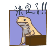 769802781