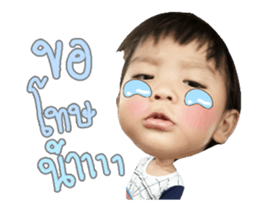 76980294