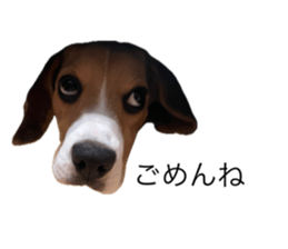 769812733