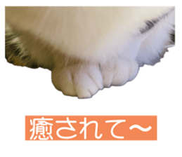769816534
