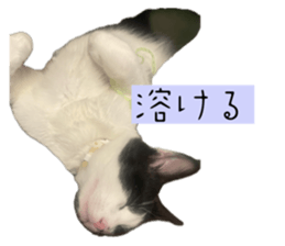 769816542