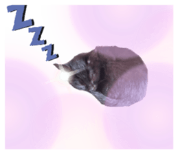 769823890