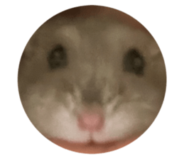 769855329
