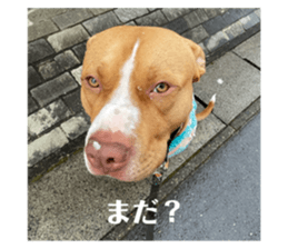 769856307