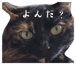 769860947