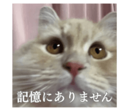 769861195