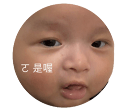 769863113
