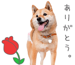 769887305
