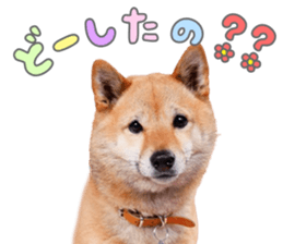 769887310